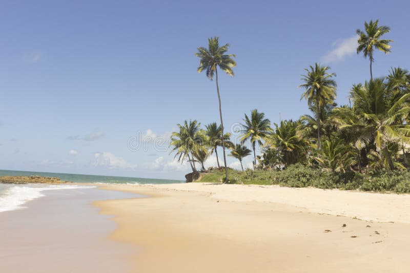 Brazil Junior Nudist