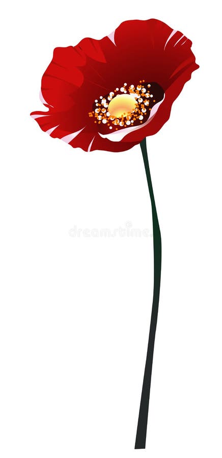 Coquelicot