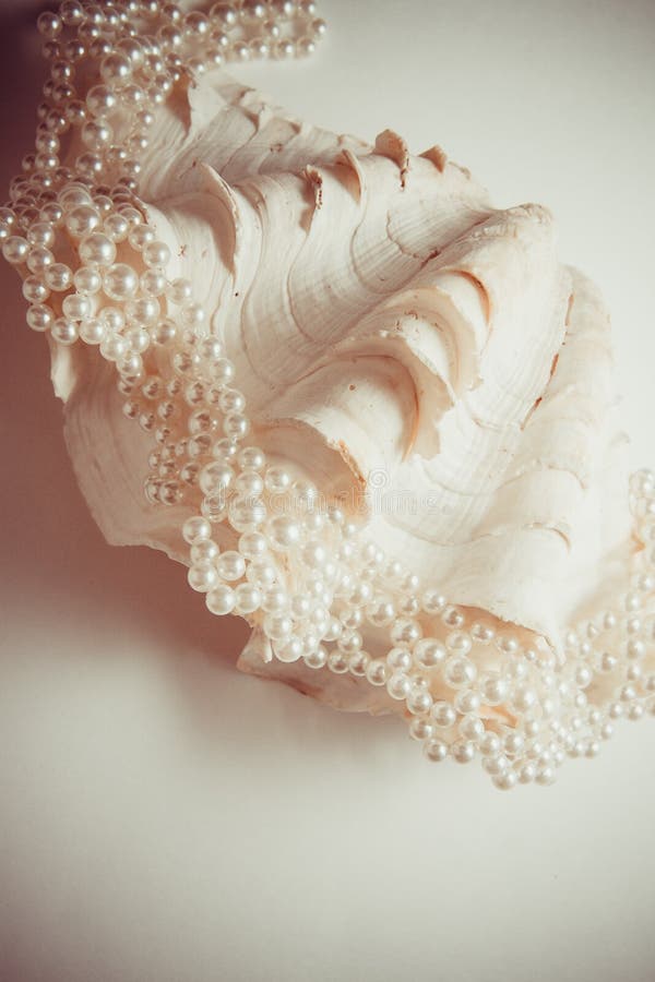 Coquille de perle photographie stock Coquille de perle photographie stock