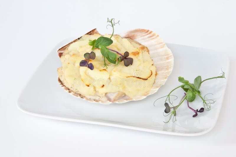 Coquilles Saint Jacques