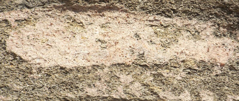 Coquina и крупный план здания глины Грузии стоковые изображения rf Coquina и крупный план здания глины Грузии стоковые изображения rf