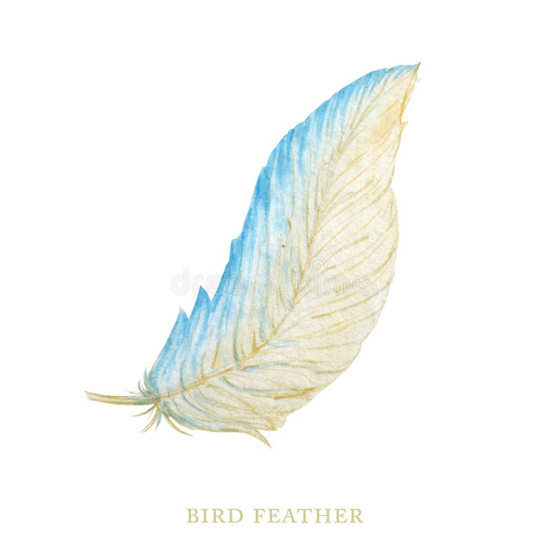 Cor d'água da pena brilhante Pinturas desenhadas à mão Ilustração das asas do estilo Boho isolada em fundo branco Mosca de aves ilustração do vetor Cor d'água da pena brilhante Pinturas desenhadas à mão Ilustração das asas do estilo Boho isolada em fundo branco Mosca de aves ilustração do vetor