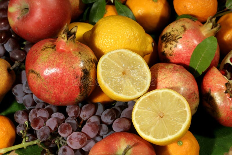 Cor da fruta mediterrânea