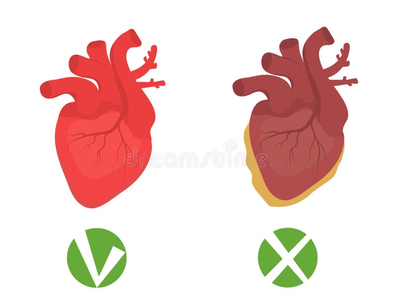 Pessoas Saudáveis, Felizes E Doentes, Que São. Caracteres De Fígado Kawaii.  Ilustração Isolada Por Vetor Em Desenho Plano E Desenh Ilustração do Vetor  - Ilustração de insalubre, médico: 241911174