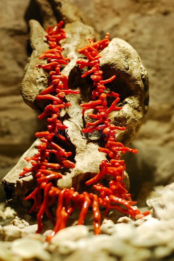 Coral necklace royalty free stock images Coral necklace royalty free stock images