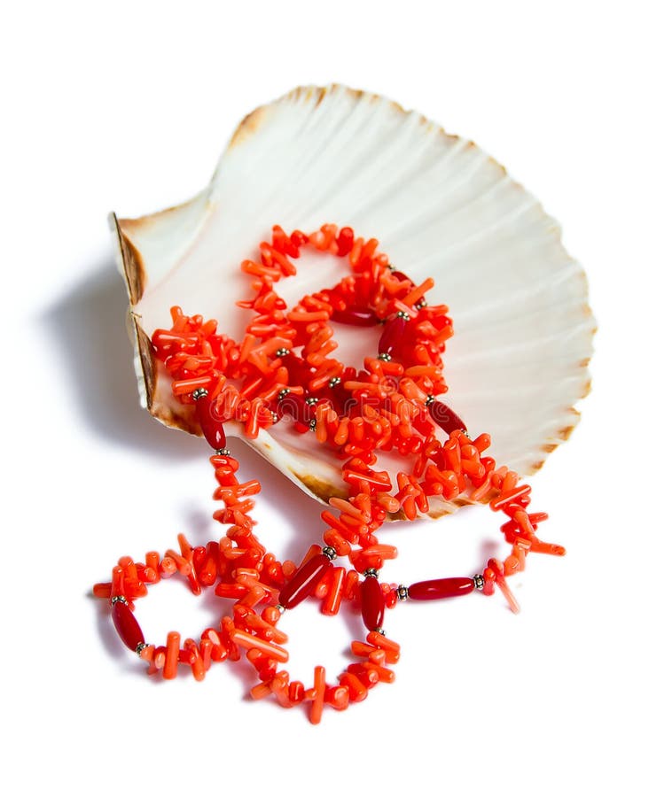 Coral necklace over sea shell