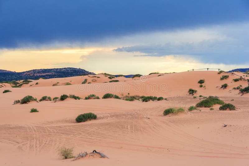 Coral Pink Sand Dunes State Park in Utah at sunset