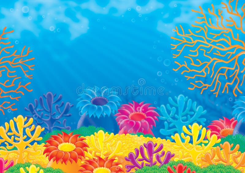 Coral reef vector illustration