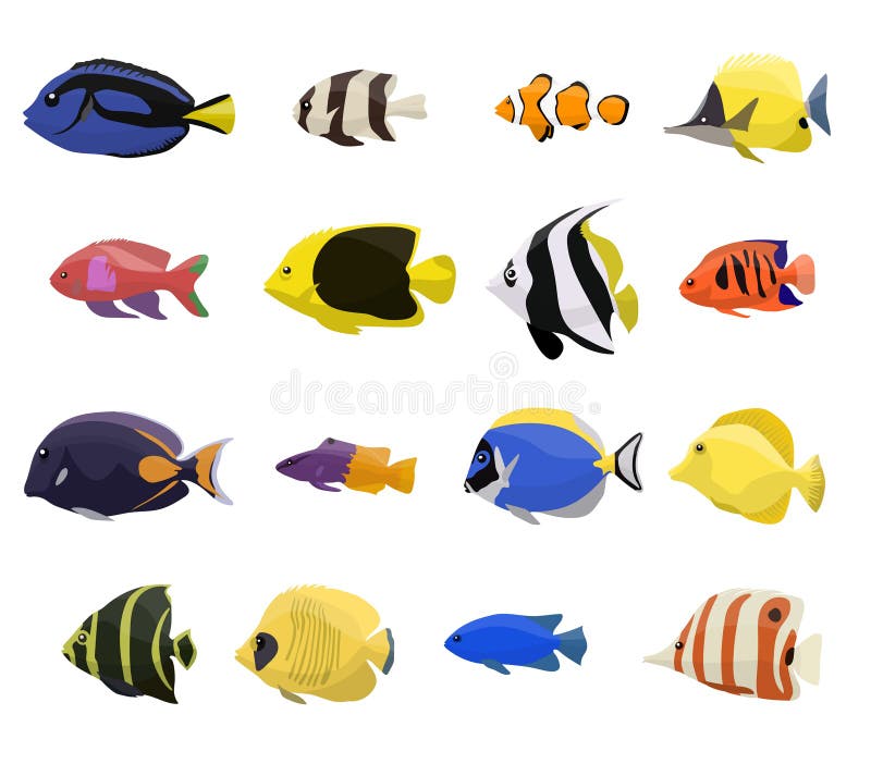 Coral reef fish set vector illustration
