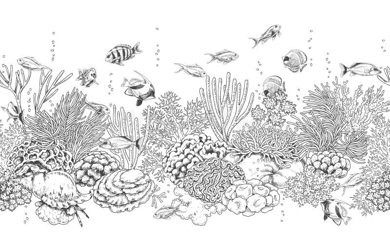 Coral Reef and Fishes Pattern royalty free illustration Coral Reef and Fishes Pattern royalty free illustration