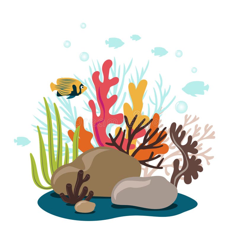 Coral reef stock vector. Illustration of depth, lagoon - 175254631