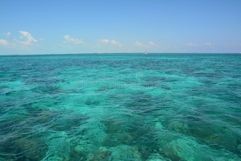Coral Reef op Caye-Breeuwijzereiland Belize stock fotografie Coral Reef op Caye-Breeuwijzereiland Belize stock fotografie
