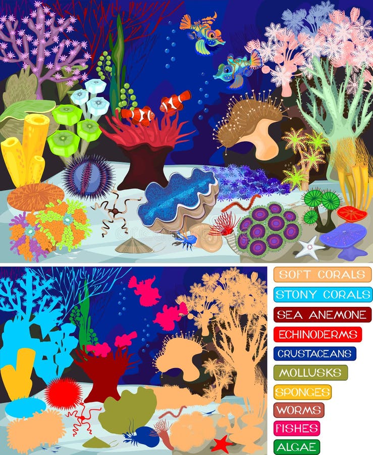 Ecosystem of Coral Reef with Different Marine Inhabitants with Titles