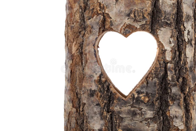 Coração esculpido num tronco de árvore oco fotografia de stock