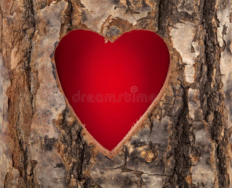Coração cortado no tronco de árvore oca imagens de stock royalty free