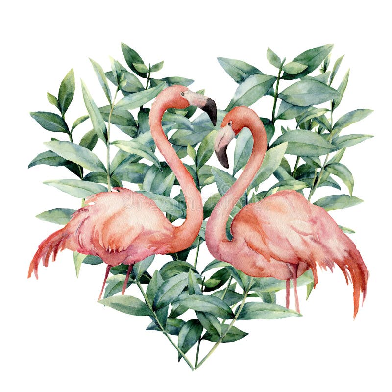 Coração da aquarela com as folhas cor-de-rosa do flamingo e do eucalipto Flamingo cor-de-rosa pintado à mão e folhas isolados no ilustração royalty free