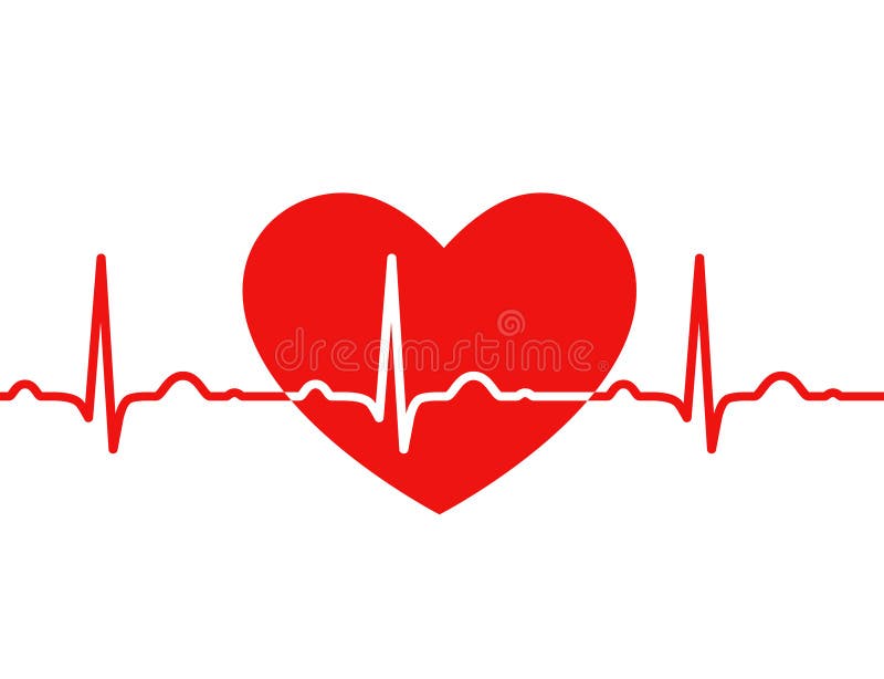 Coração vermelho com ekg no branco - projeto médico ilustração royalty free Coração vermelho com ekg no branco - projeto médico ilustração royalty free