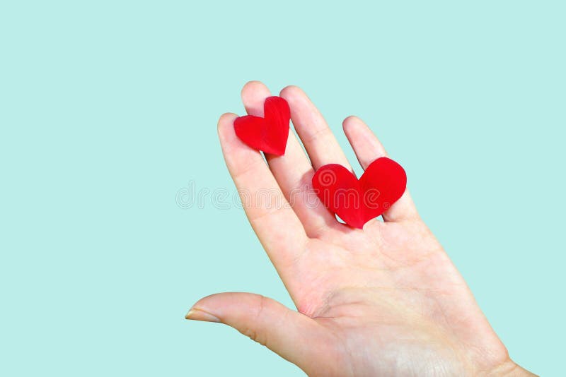Corações cinzelados das pétalas cor-de-rosa no incenso fotografia de stock Corações cinzelados das pétalas cor-de-rosa no incenso fotografia de stock