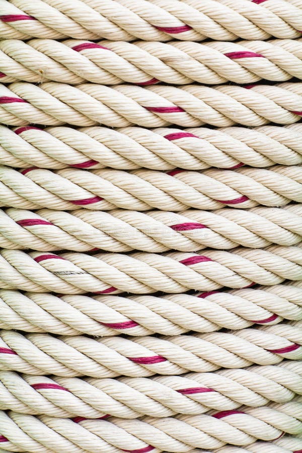 Corda Espandibile Da 8 Mm Bianca 20 M + 10 Ganci A Spirale Corda In - Foto 9