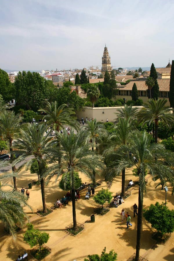 (espanol, arábica), es un romano católico catedral en, él era sobre el uno tipos el mas grande en.