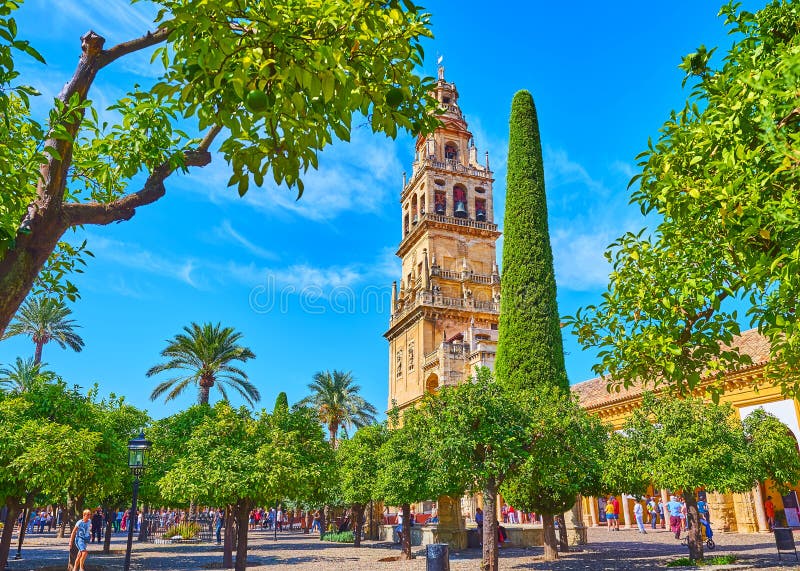 The lush orange trees of Mezquita, Cordoba, Spain