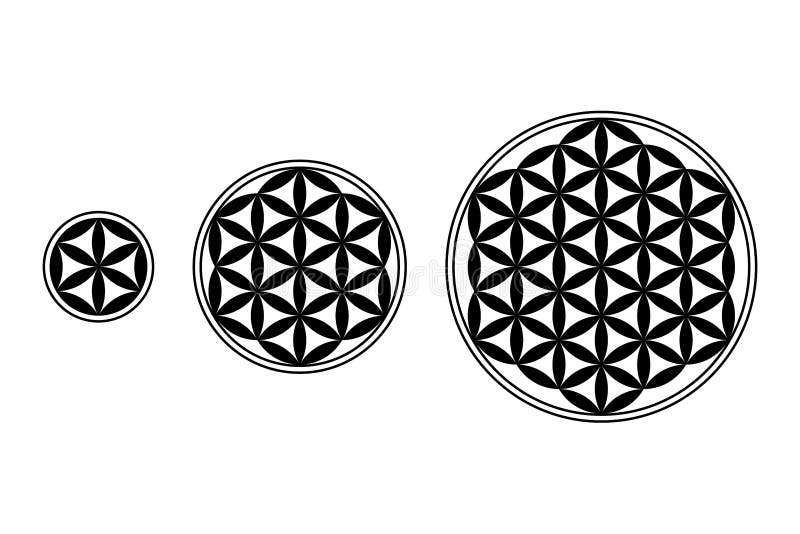 Seed of Life in Flower of Life Stock Vector Illustration of energy