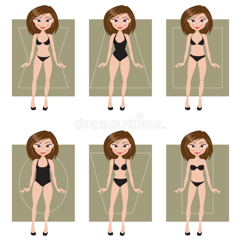 女性体型。矢量图 库存例证