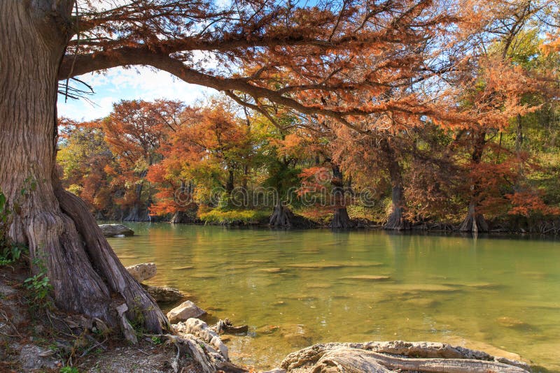 Cores de Guadalupe River State Park Fall imagens de stock royalty free Cores de Guadalupe River State Park Fall imagens de stock royalty free