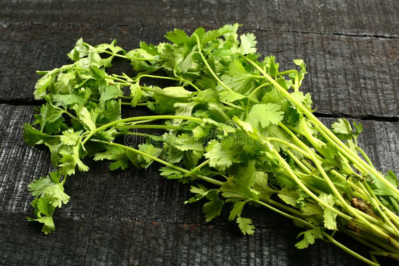 Photograph of Coriander, Mint, Green Chilli and Raw Mango. Raw Material