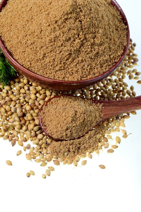 Coriander Seeds, Fresh Coriander and Powdered Coriander Stock Photo