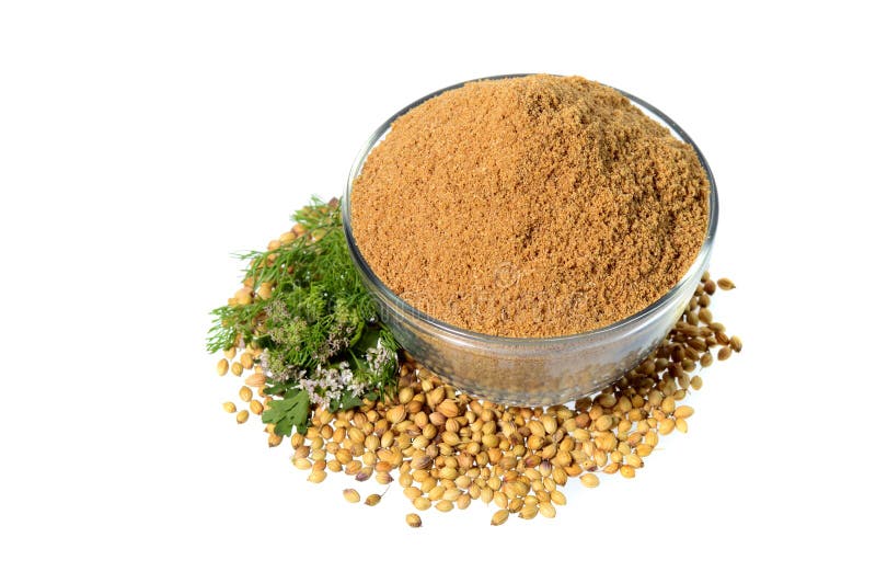 Coriander Seeds, Fresh Coriander And Powdered Coriander Stock Image
