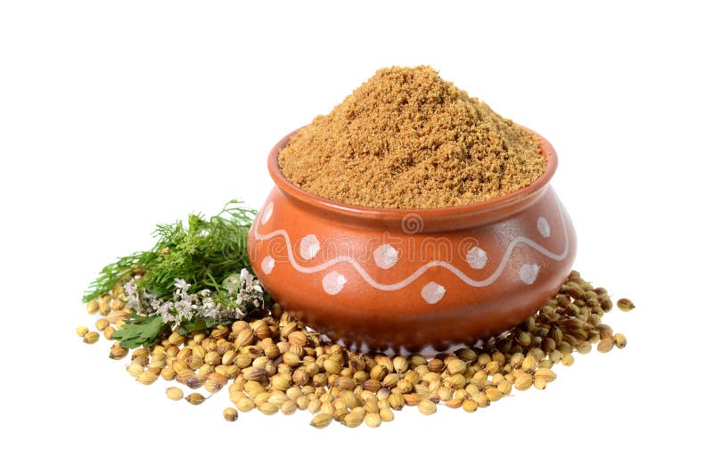 Coriander Seeds, Fresh Coriander and Powdered Coriander Stock Image