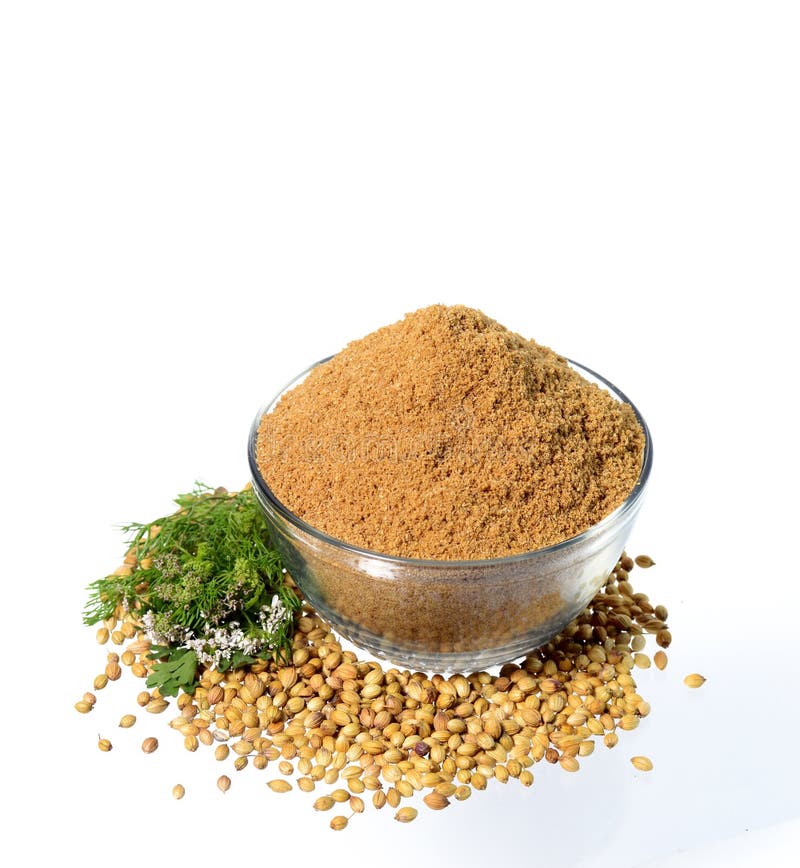 Coriander Seeds, Fresh Coriander and Powdered Coriander Stock Image