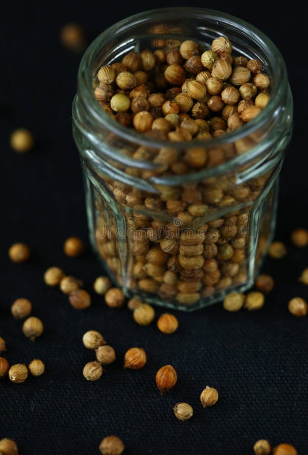 Coriander stock image. Image of seed, close, spice, life 56640697