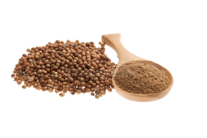 Coriander seeds and powder on a wooden spoon