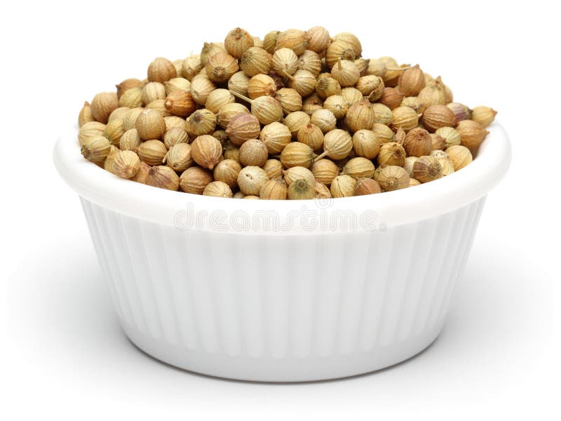 Coriander Seeds in White Bowl on White Background Stock Photo Image