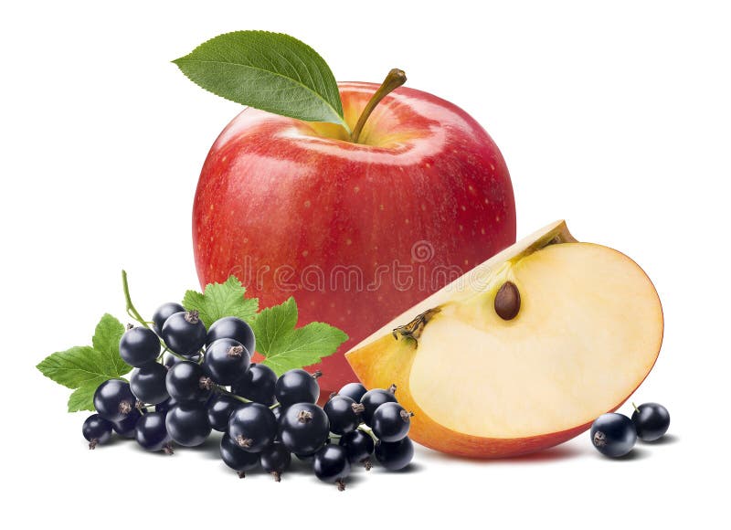 Maçã vermelha e groselha preta isoladas sobre fundo branco fotografia de stock royalty free