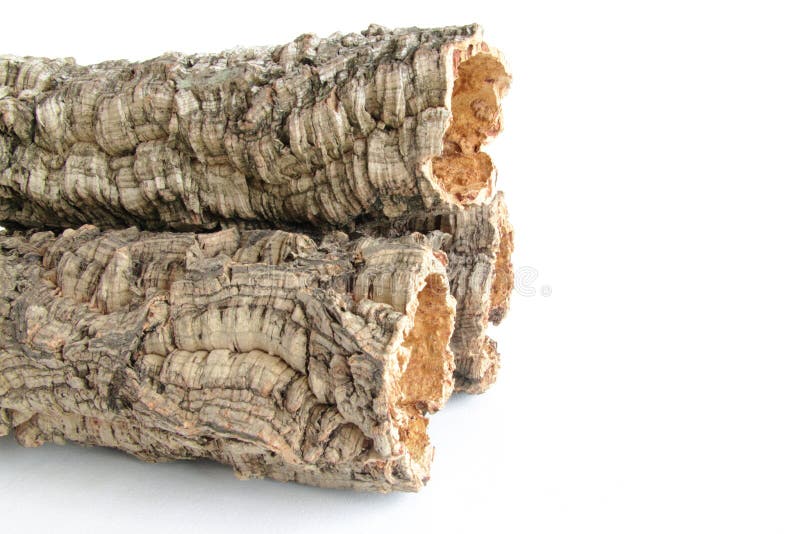 Cork stock image. Image of isolated, bark, nature, craftsmanship 32250065