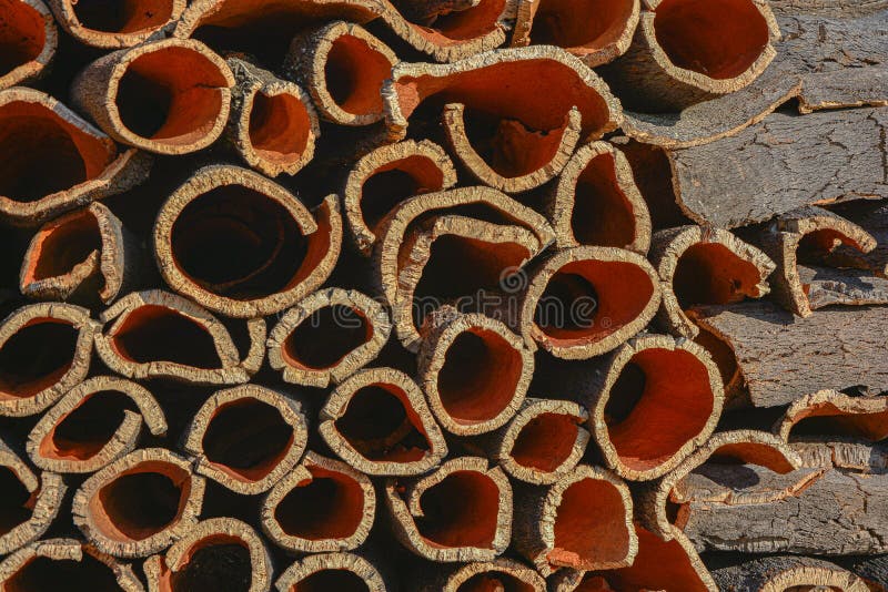 Cork, Stacked Cork Tree Bark Stock Photo Image of candles, bread