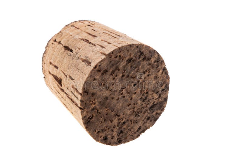 Cork tree isolated stock photo. Image of wood, french 214206776