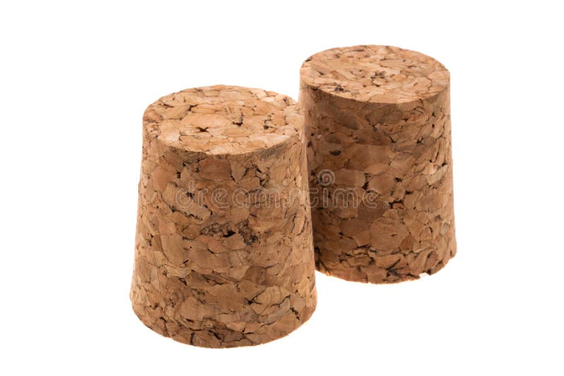Cork tree isolated stock photo. Image of wood, french 214206776