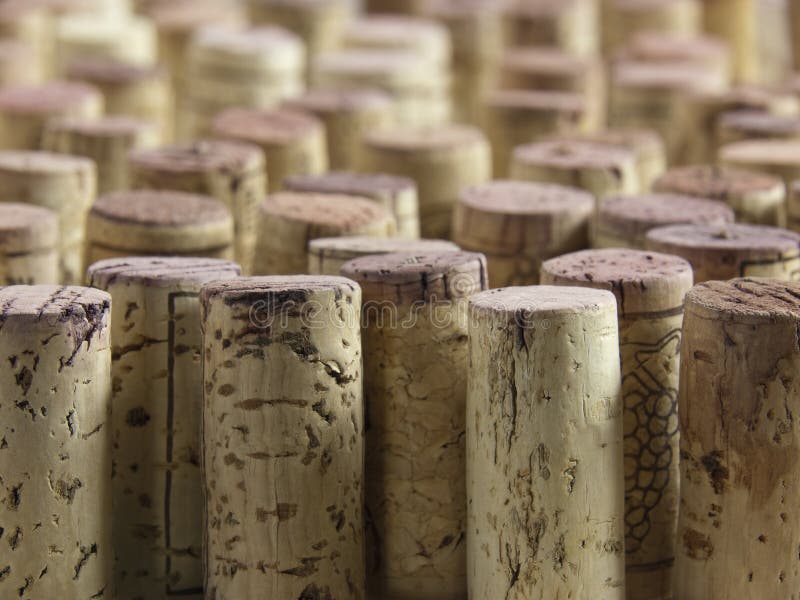 Cork van de wijn groep royalty-vrije stock afbeelding Cork van de wijn groep royalty-vrije stock afbeelding