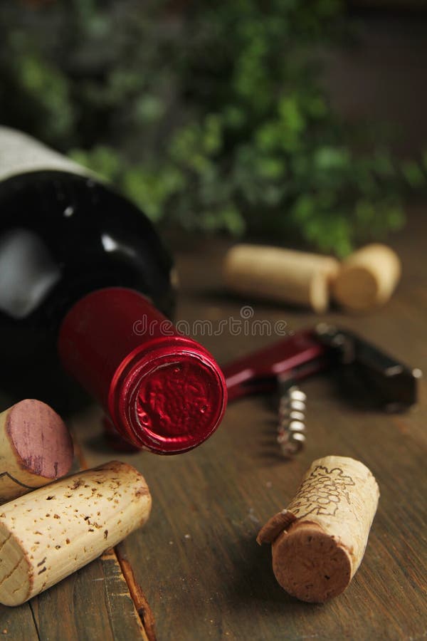 Cork wine stock photo. Image of isolated, food, gourmet 23505332