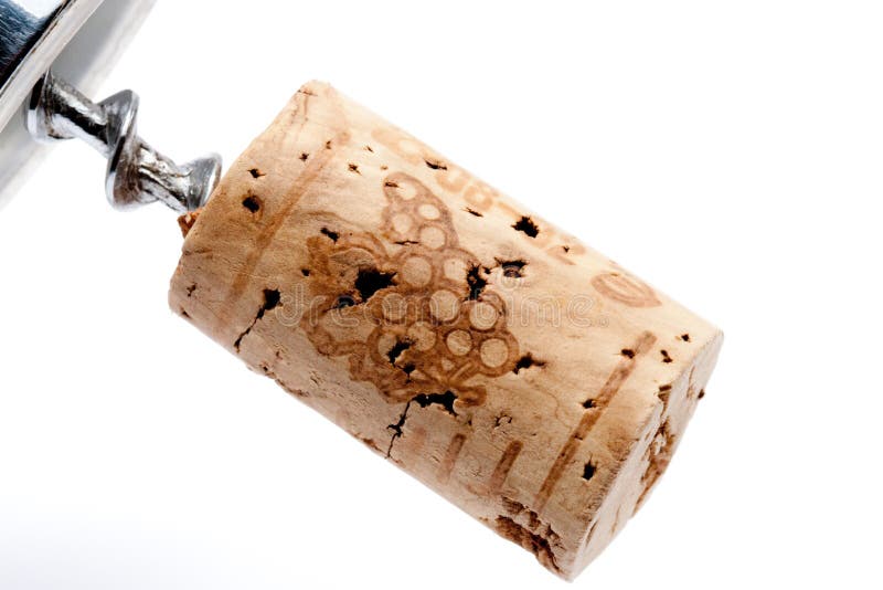 Cork of a Wine Bottle with Corkscrew Stock Photo Image of celebration
