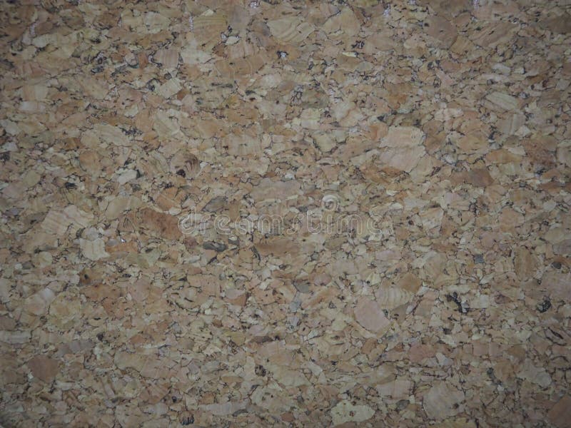 Cork wood stock photo. Image of light, brown, black, wood 79770398