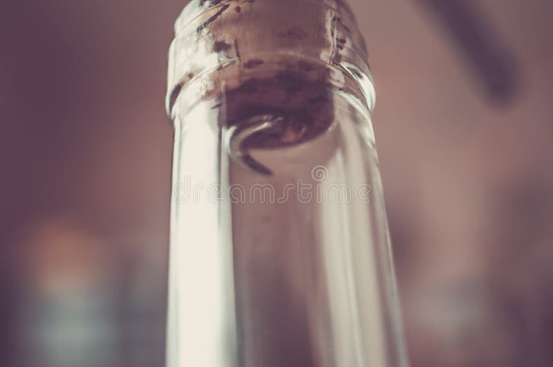 Corkscrew Wine through the Cork Stock Image Image of open, handle
