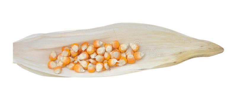 Corn