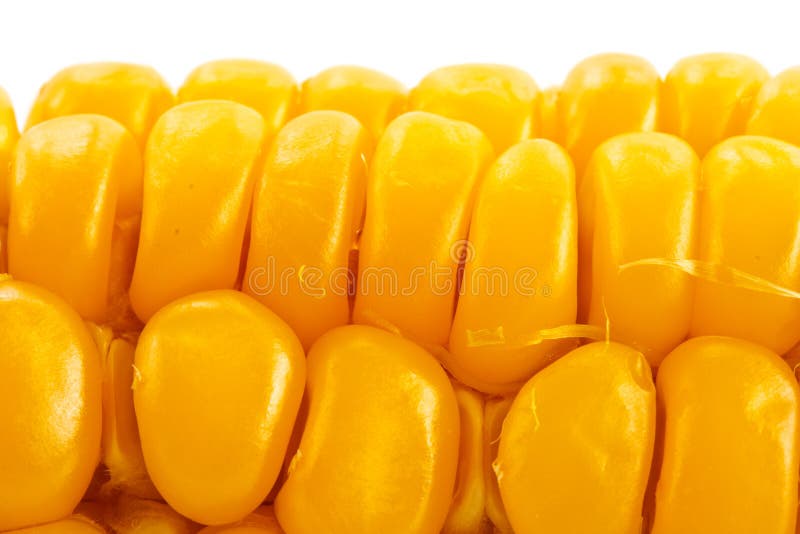 Corn