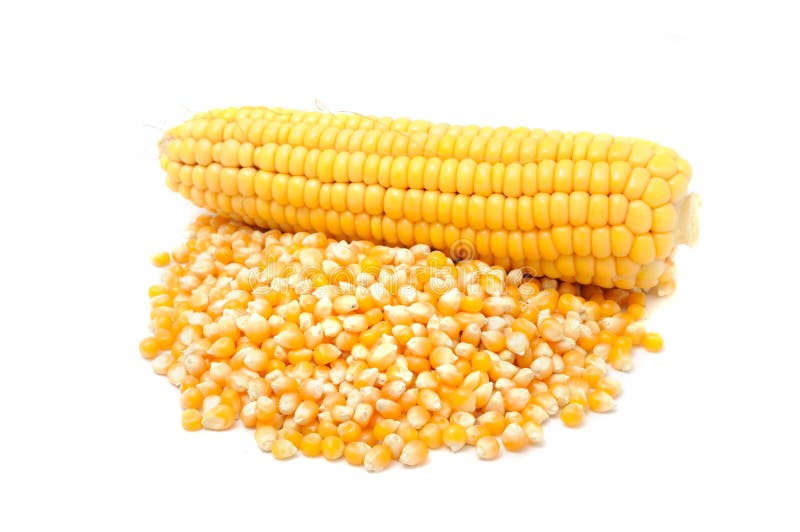 Corn