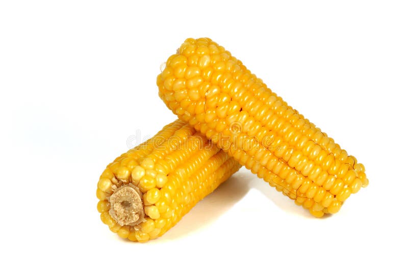 The particles full of fresh corn. Plants particles stock images, royalty-free photos and pictures